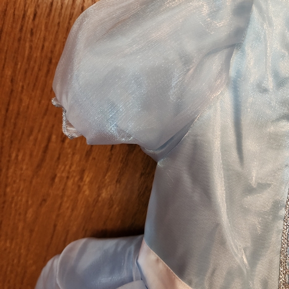 Disney Cinderella Halloween Costume - Picture 8 of 11